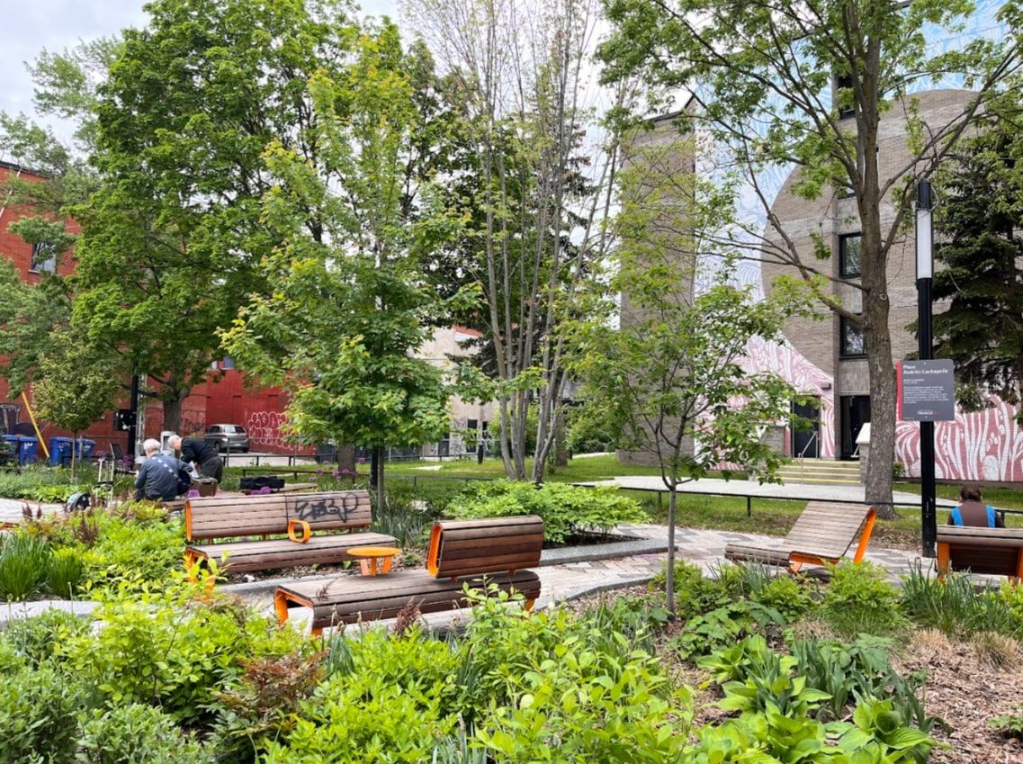 Outdoor seating in a leafy parks