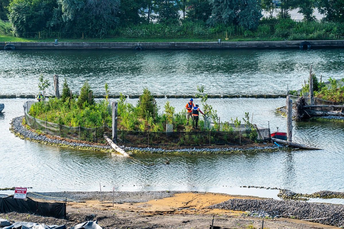 Reconfiguring our Relationship to Water