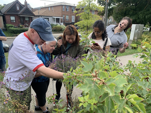 Group of people looking at native plants