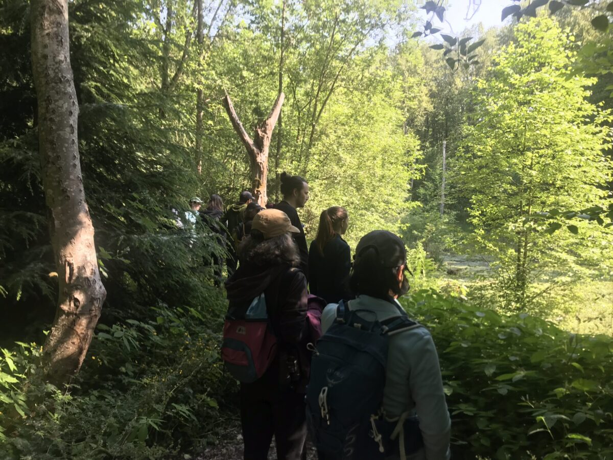 Des personnes debout, levant les yeux vers les arbres dans une forêt.
