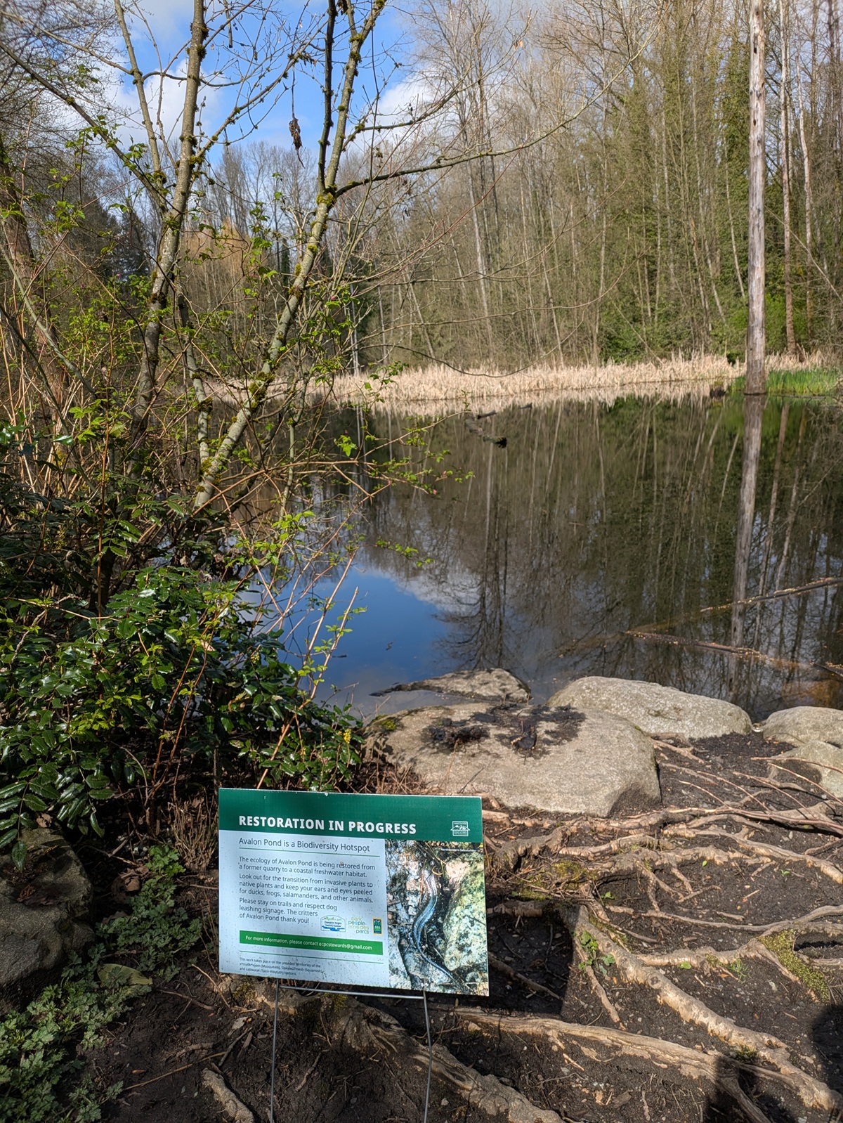 Panneau de restauration devant un lac au parc Everett Crowley