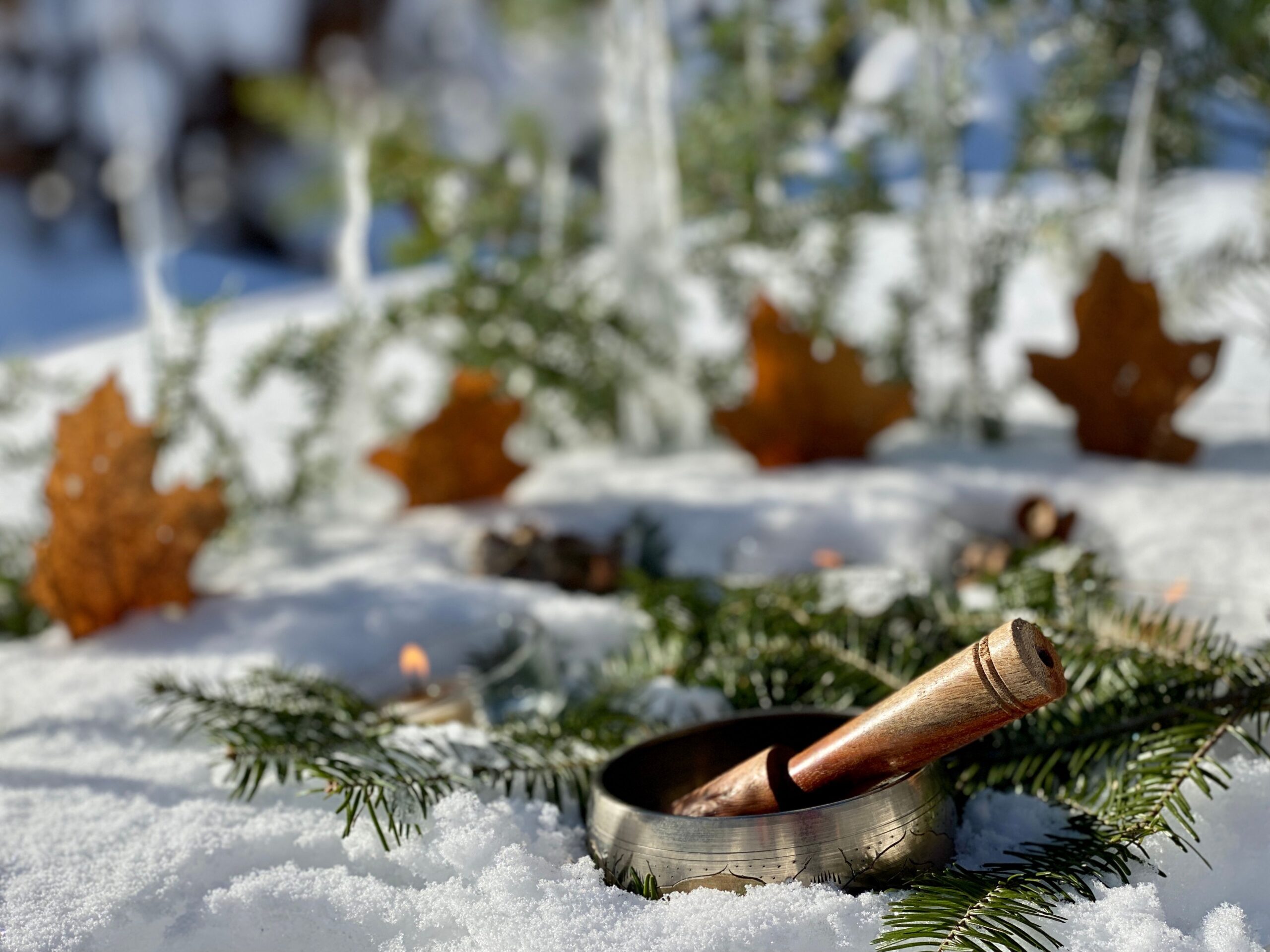 Bol tibétain dans la neige et les feuilles d'arbres