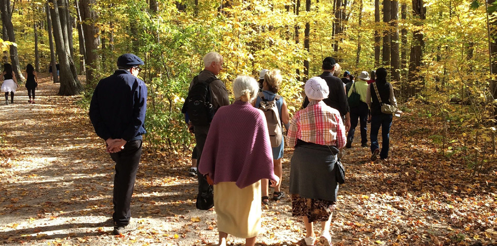 Des gens marchant dans une forêt par une journée ensoleillée