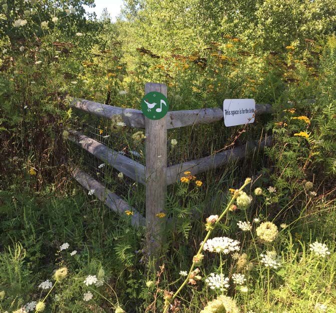 Wooden fence surrounded by vegetation with a singing bird sign