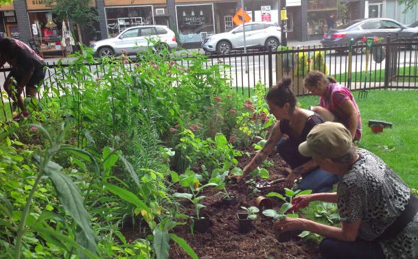 Des personnes plantant des végétaux dans un jardin communautaire