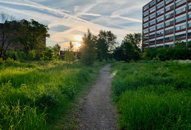 Sentier et végétation avec bâtiment et coucher de soleil en arrière-plan