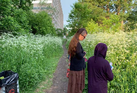 Two people standing on a trail surrounded by vegetation