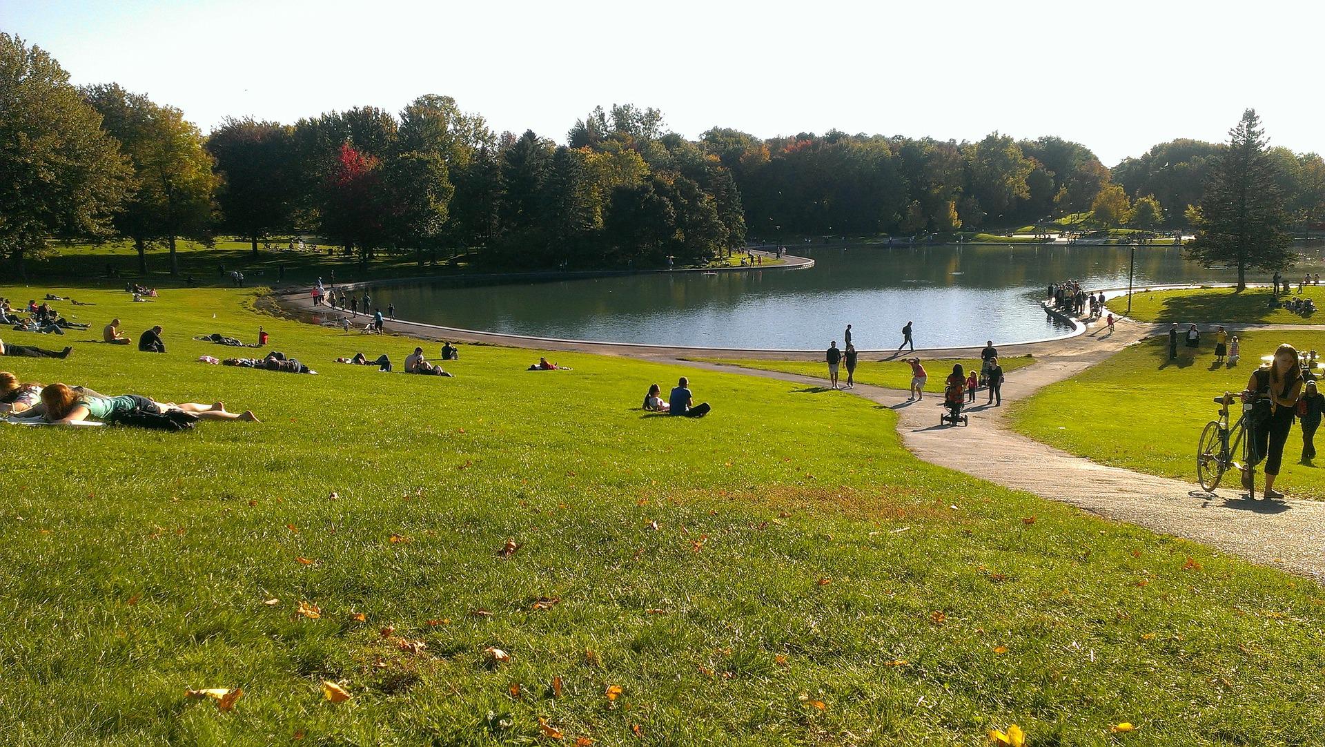 Personnes étendues dans l'herbe au bord d'un lac