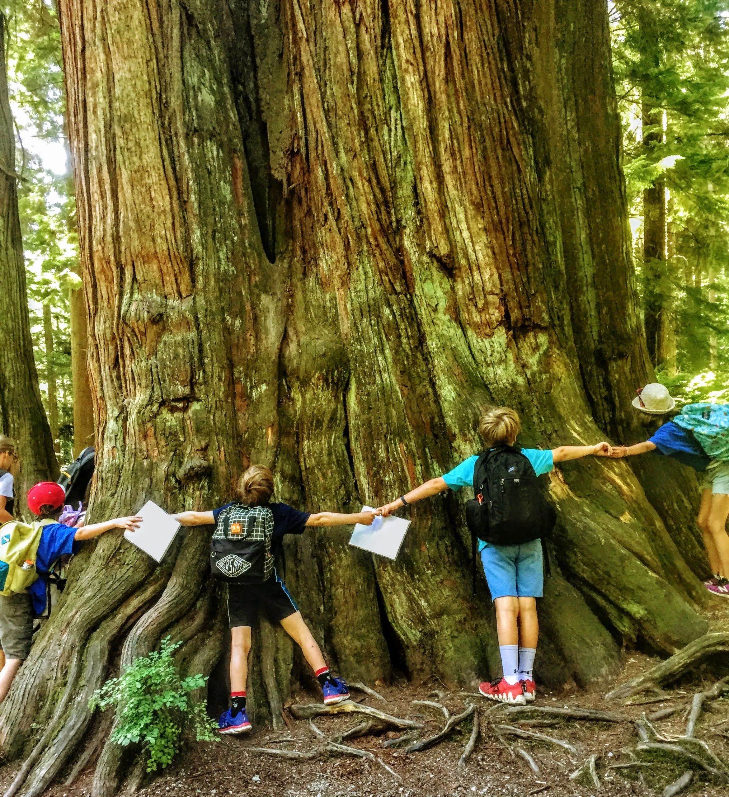 Enfants faisant une ronde autour d'un arbre