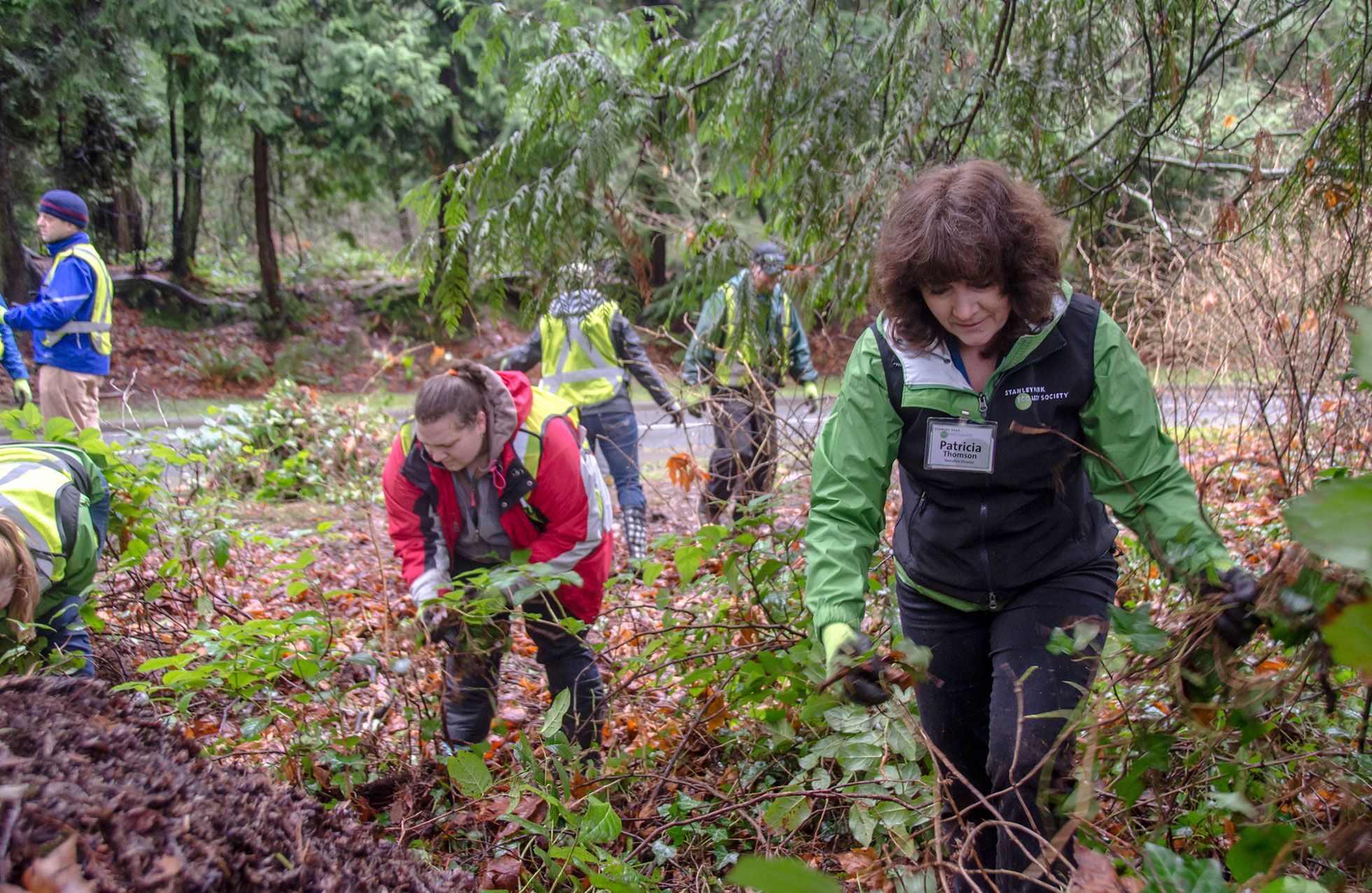 People removing invasive species by the side of the road