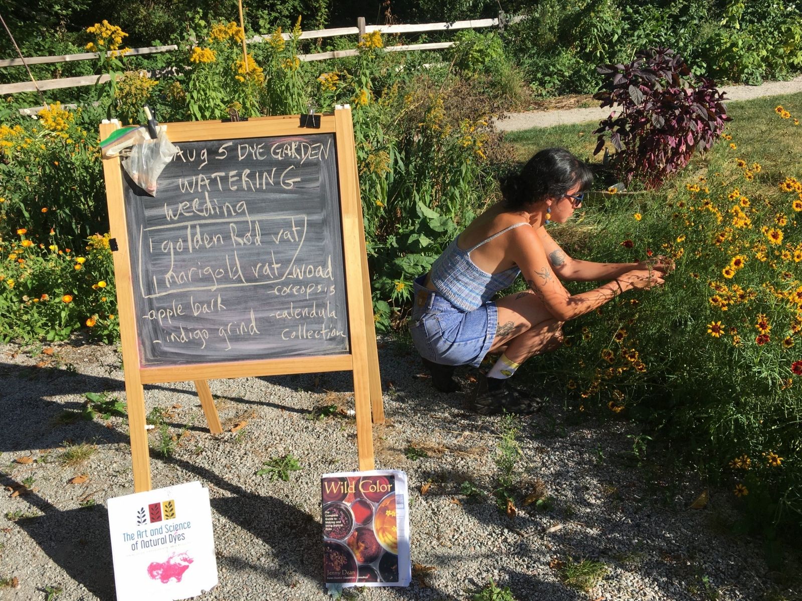 Blackboard in garden with person harvesting flowers