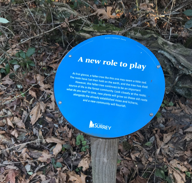 Interpretation sign in a forest
