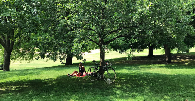 Personne avec son vélo assise sous un arbre