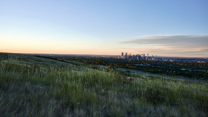Field at dawn with city skyline in the background