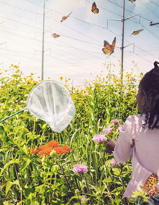 Child in a flower field, with butterflies and electrical cables above head